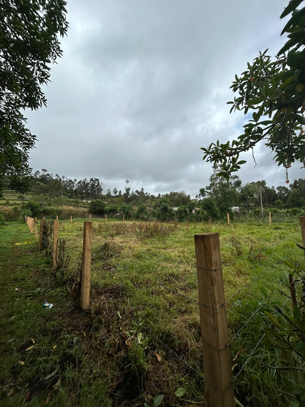 LOTE BARRIO MIRAFLORES