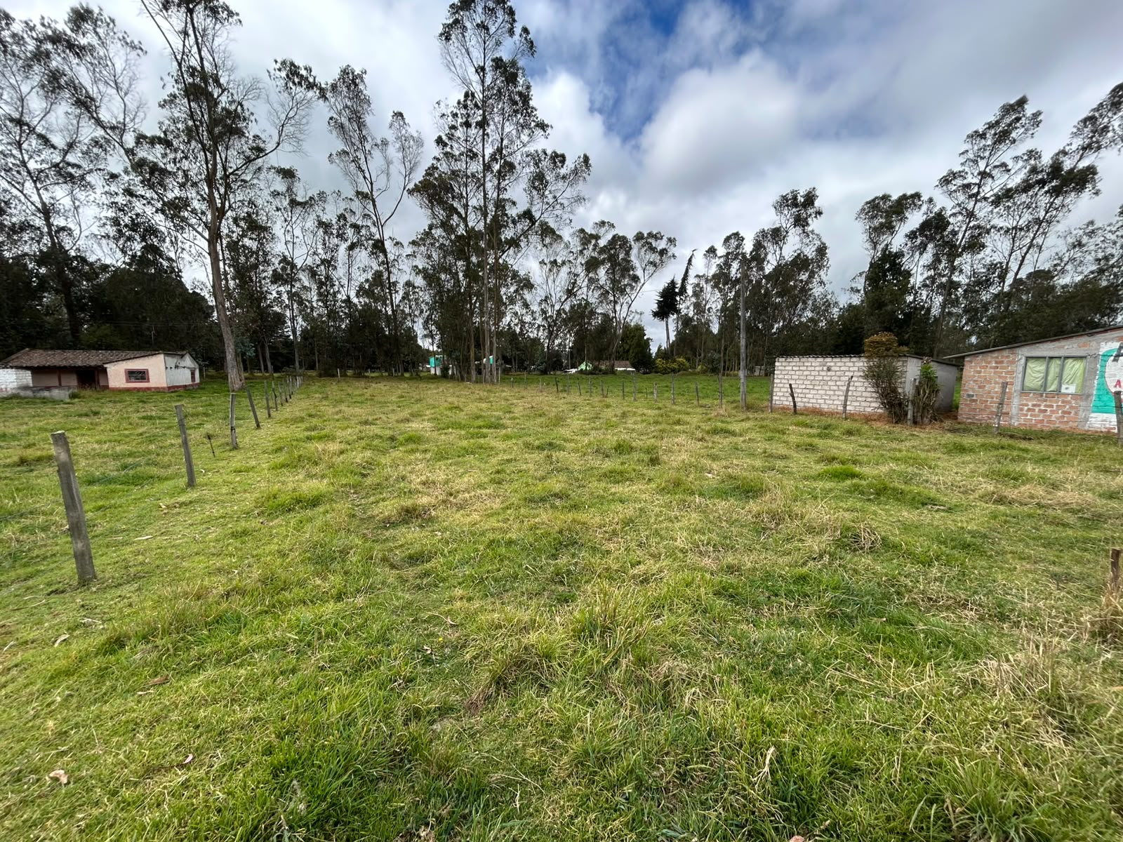 LOTE GUAN CANTERIA