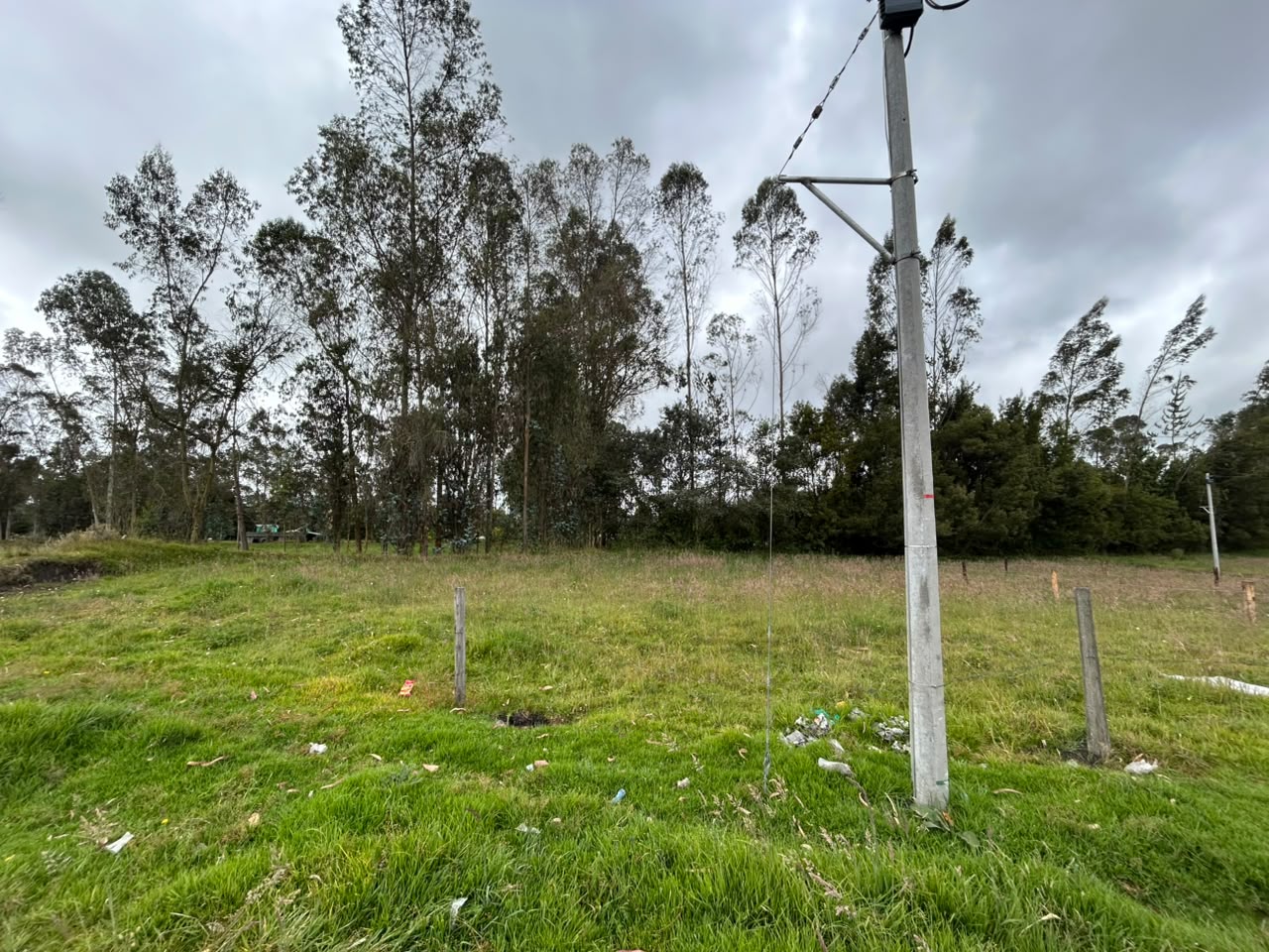 LOTE GUAN CANTERIA