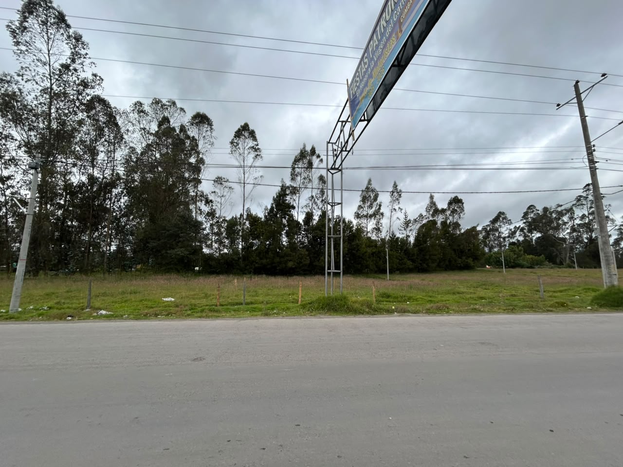 LOTE GUAN CANTERIA