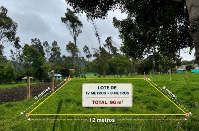LOTE GUAN PANGATA