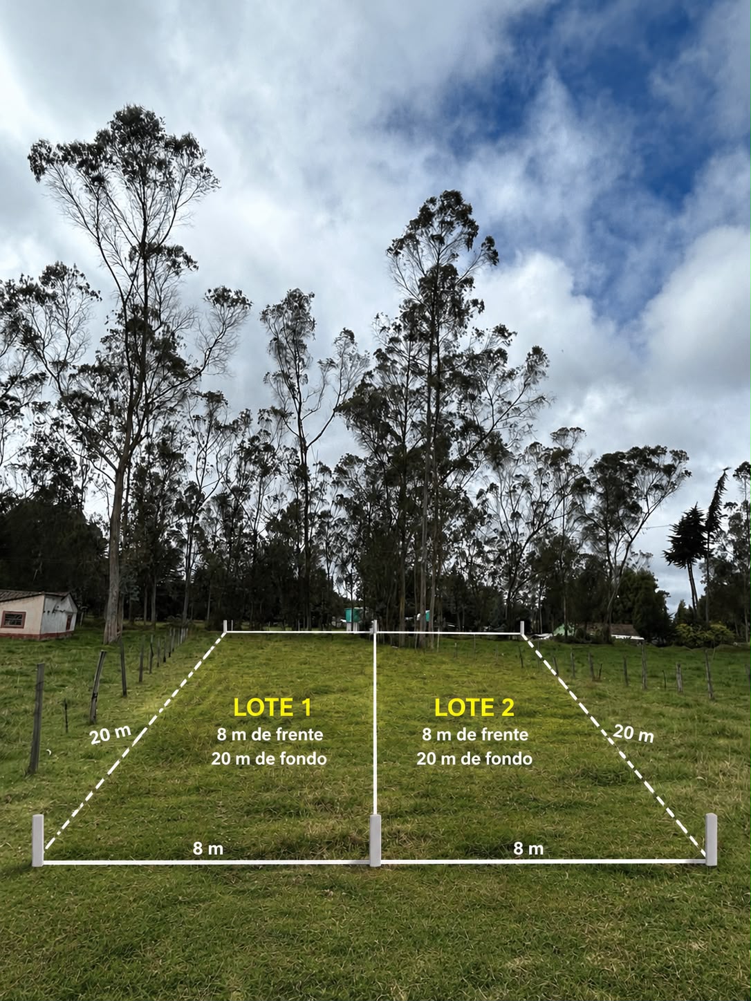 LOTE GUAN CANTERIA